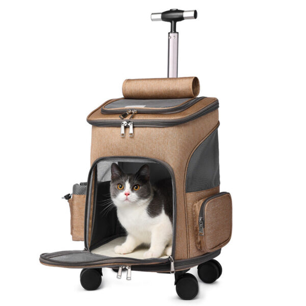 TravelPaws™